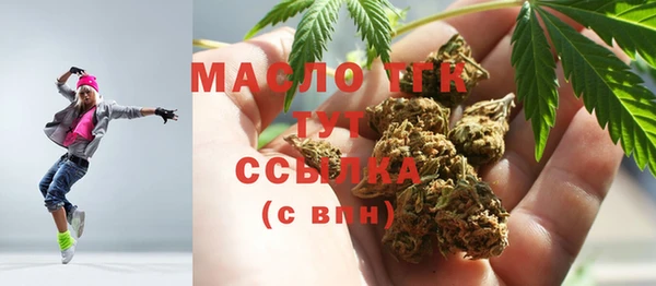 индика Баксан