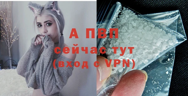 индика Баксан