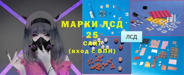 индика Баксан