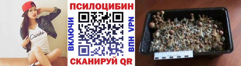 Галлюциногенные грибы ЛСД  где купить наркоту  Северо-Курильск 